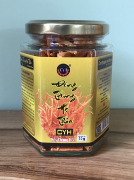 ĐÔNG TRÙNG HẠ THẢO