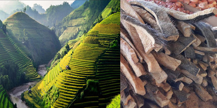 Đố ai dám ăn 5 loại đặc sản này của vùng Tây Bắc