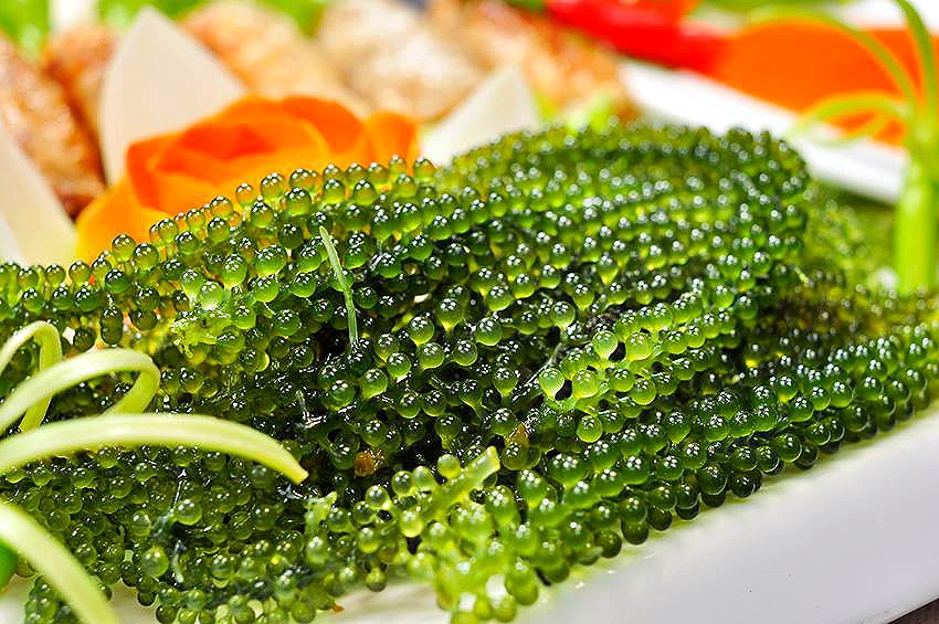 Rong nho tách nước